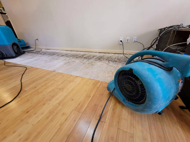 Professional Basement Flood Cleanup technician working in Statham, GA